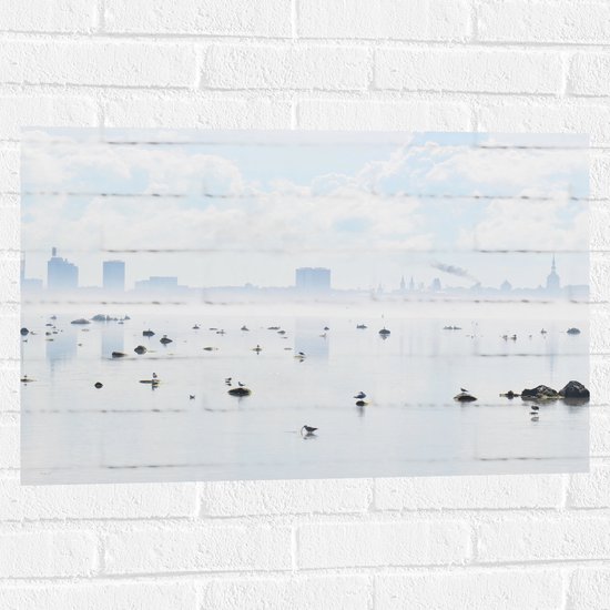 WallClassics - Muursticker - Mist bij Skyline achter Meer met Vogels - 75x50 cm Foto op Muursticker