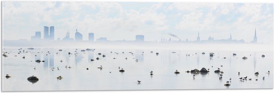 WallClassics - Acrylglas - Mist bij Skyline achter Meer met Vogels - 90x30 cm Foto op Acrylglas (Met Ophangsysteem)