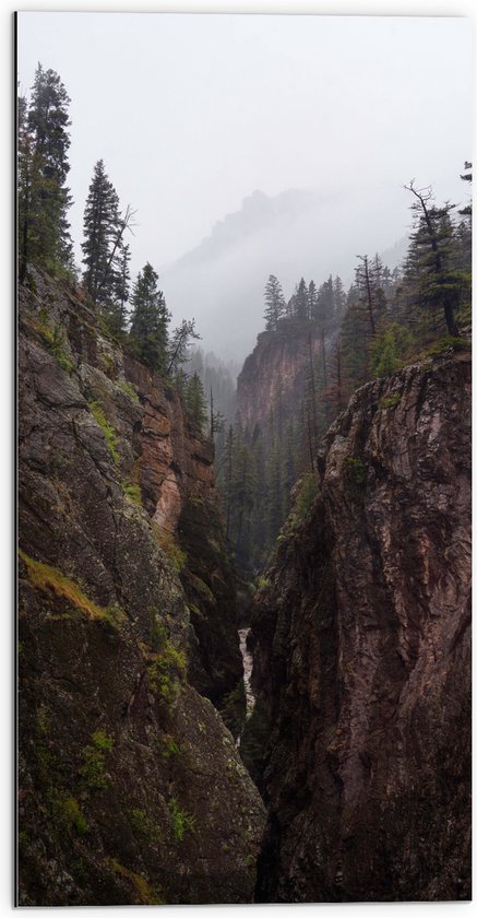 Dibond - Berglandschap met Bossen - 50x100 cm Foto op Aluminium (Met Ophangsysteem)