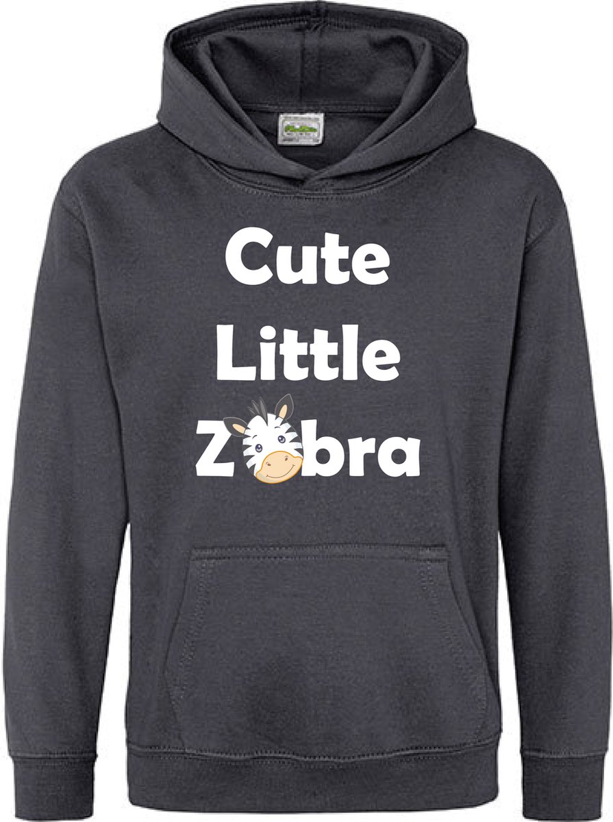 Pixeline Hoodie Cute Little Zebra grijs 7-8 jaar - Zebra - Pixeline - Trui - Stoer - Dier - Kinderkleding - Hoodie - Dierenprint - Animal - Kleding