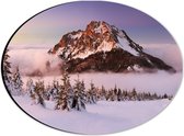 Dibond Ovaal - Bergtop boven Wolkendek Uitstekend - 28x21 cm Foto op Ovaal (Met Ophangsysteem)