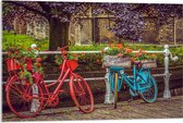 WallClassics - Acrylglas - Rode en blauwe Fiets met Bloemen bij wit Hek voor de Gracht - 90x60 cm Foto op Acrylglas (Met Ophangsysteem)