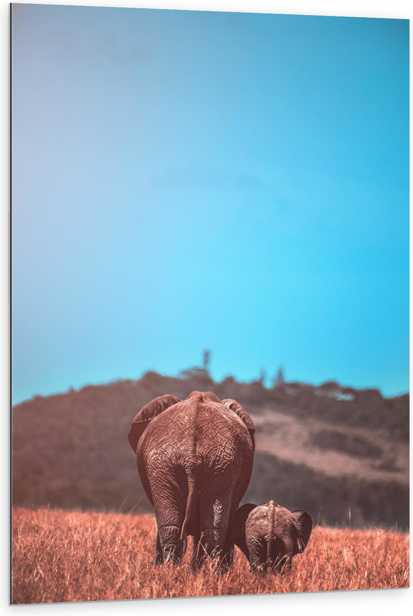 Dibond - Moeder en Baby Olifant tussen het Hoge Gras - 80x120 cm Foto op Aluminium (Met Ophangsysteem)