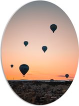 WallClassics - PVC Schuimplaat Ovaal - Luchtballonnen boven Landschap met Zonsondergang - 51x68 cm Foto op Ovaal (Met Ophangsysteem)