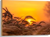 Hout - Stappel Grassen bij Felkleurige Zonsondergang in het Oranje - 80x60 cm - 9 mm dik - Foto op Hout (Met Ophangsysteem)