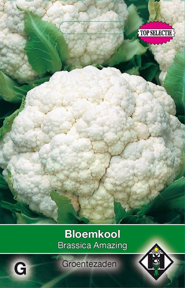 2 stuks Bloemkool AmazingVan Hemert & Co