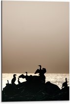 WallClassics - Dibond - Silhouette van Gevogelte op Stenen aan het Water - 40x60 cm Foto op Aluminium (Wanddecoratie van metaal)