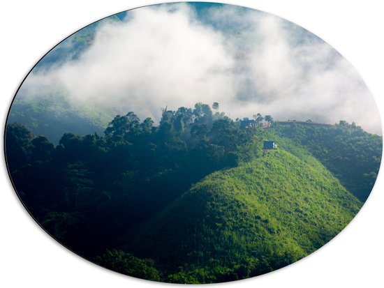 Dibond Ovaal - Dichtbegroeide Bergen in Mist van Wolken - 68x51 cm Foto op Ovaal (Met Ophangsysteem)