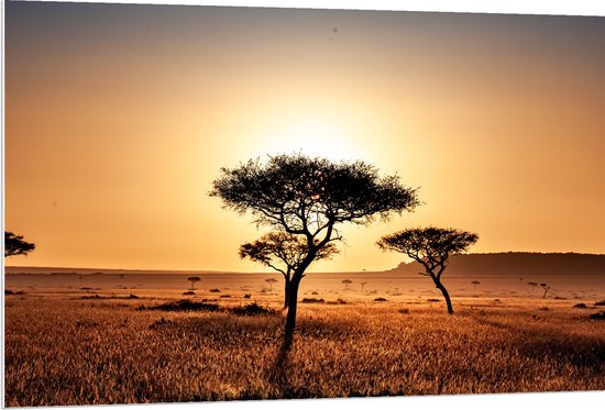 WallClassics - PVC Schuimplaat - Silhouet van Enkele Bomen in Droog Landschap - 120x80 cm Foto op PVC Schuimplaat (Met Ophangsysteem)