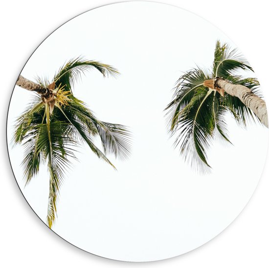 WallClassics - Dibond Muurcirkel - Onderaanzicht van Twee Tropische Palmbomen - 80x80 cm Foto op Aluminium Muurcirkel (met ophangsysteem)