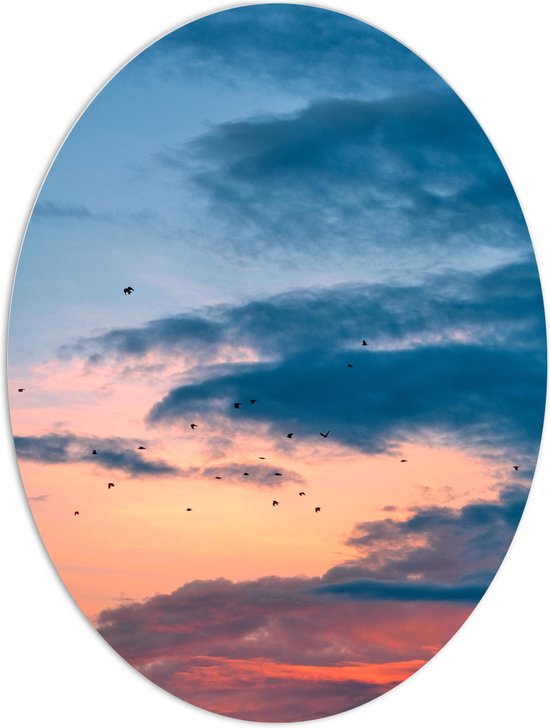 WallClassics - PVC Schuimplaat Ovaal - Vogels bij Blauwe/ Oranje Wolken - 60x80 cm Foto op Ovaal (Met Ophangsysteem)