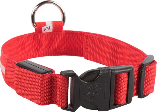LED Verlichte Hondenhalsband - Rood - Maat S - Veilig voor je hond in het donker