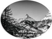 WallClassics - PVC Schuimplaat Ovaal - Grote Boom voor Sneeuwbergen (zwart/ wit) - 68x51 cm Foto op Ovaal (Met Ophangsysteem)