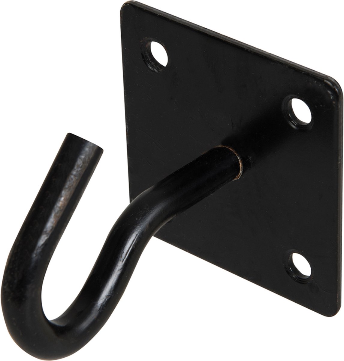 Fixman Kettingplaat met haak - roest- en waterbestendig - zwart - 50 mm x 50 mm