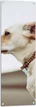 Tuinposter – Zijaanzicht Witte Hond - 40x120 cm Foto op Tuinposter (wanddecoratie voor buiten en binnen)