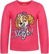 Paw Patrol Skye - Roze sweater voor meisjes, lekker warm / 116