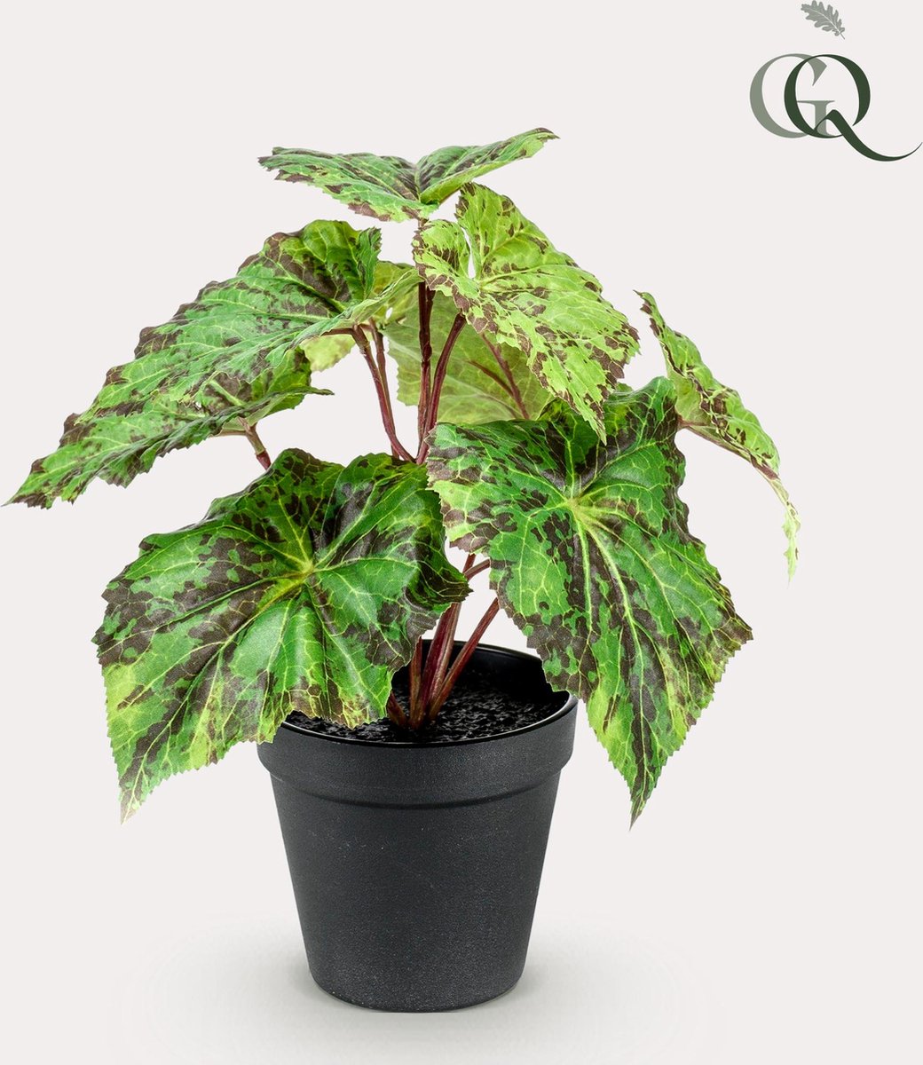 Kunstplant - Begonia Rex - Bladbegonia - 25 cm