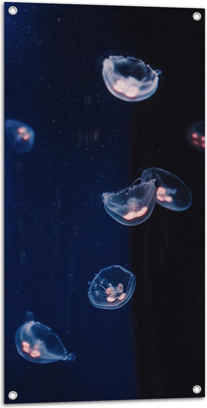 WallClassics - Tuinposter – Doorzichtige Kwallen op Blauwe Achtergrond - 50x100 cm Foto op Tuinposter (wanddecoratie voor buiten en binnen)
