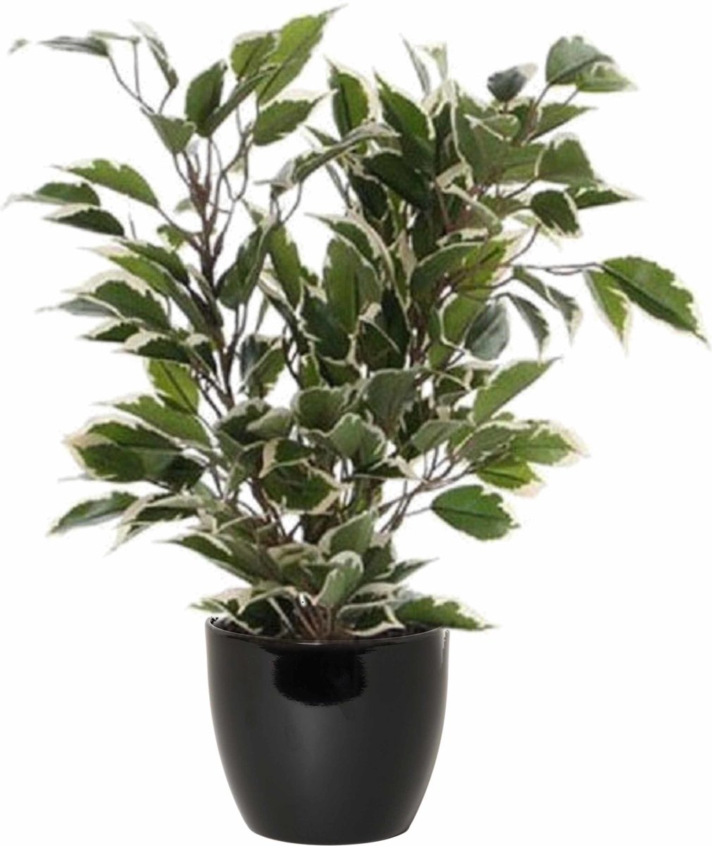 Mica Decorations Ficus kunstplant - groen/wit - 40 cm - met plantenpot - zwart - keramiek - D13.5 en H12.5 cm