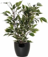 Groen/witte ficus kunstplant 40 cm met plantenpot zwart D13.5 en H12.5 cm