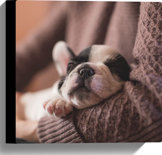 Canvas - Puppy Slapend in Armen - 30x30 cm Foto op Canvas Schilderij (Wanddecoratie op Canvas)