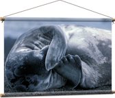 WallClassics - Affiche Textile - Sceau Gêné - 90x60 cm Photo sur Textile