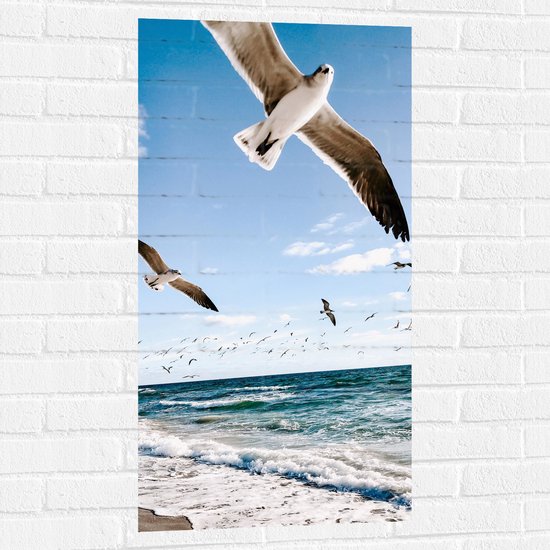 Muursticker - Vliegende Meeuwen boven de Zee - 50x100 cm Foto op Muursticker