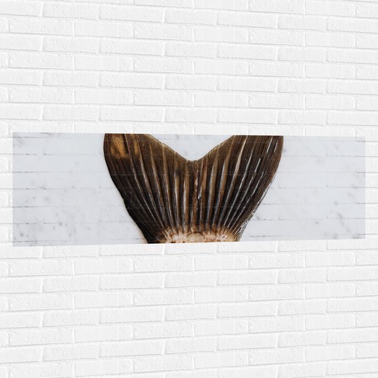 Muursticker - Vissenstaart van Dichtbij - 150x50 cm Foto op Muursticker