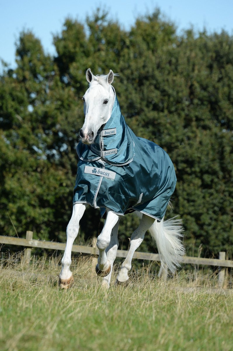 Bucas Halsstuk Bucas Atlantic Combi Groen