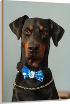 WallClassics - Hout - Hond met Blauwe Strik - 80x120 cm - 9 mm dik - Foto op Hout (Met Ophangsysteem)