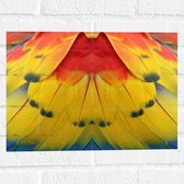 Muursticker - Close-up van Kleurrijke Veren - 40x30 cm Foto op Muursticker