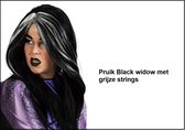 Pruik Black Widow met grijze strings - Thema feest carnaval party festival fun optocht heks
