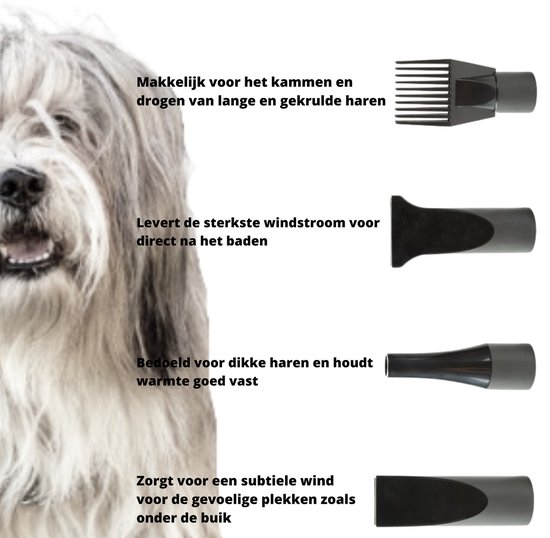 Forgoods Professionele Hondenfohn - Waterblazer voor Honden - Hondenfohn met 4 Opzetstukken - 2800W Verstelbaar Vermogen - Roze