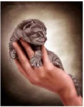 Diamond painting de luxe 30x40cm - kitten in hand - ronde steentjes