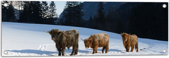 Tuinposter – Drie Schotse Hooglanders in Sneeuw Landschap bij Bergen - 90x30 cm Foto op Tuinposter (wanddecoratie voor buiten en binnen)
