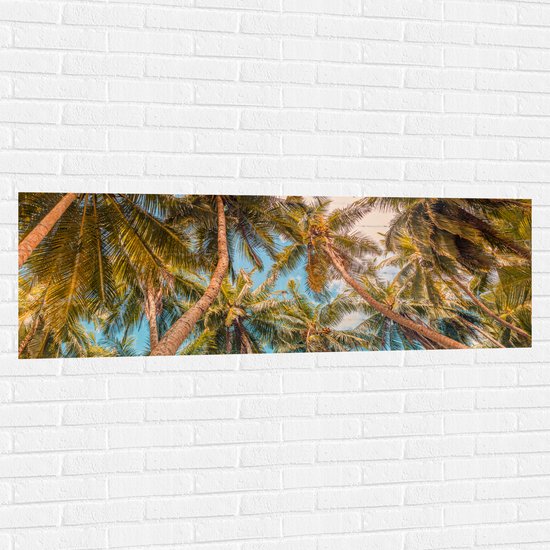 Muursticker - Dicht bij Elkaar Groeiende Palmbomen van Onder - 150x50 cm Foto op Muursticker