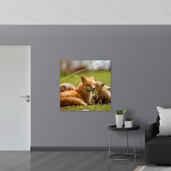 WallClassics - Toile - Mère renarde allongée dans l'herbe avec Enfants - Photo sur toile 100 x 100 cm (Décoration murale )