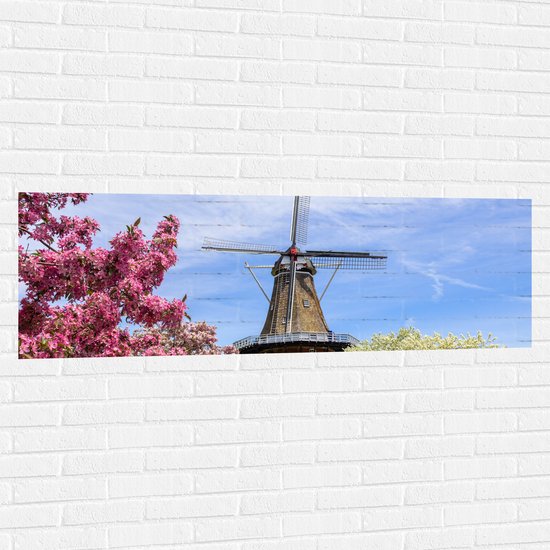 Muursticker - Bloesembomen voor Traditione Molen in Nederland - 150x50 cm Foto op Muursticker