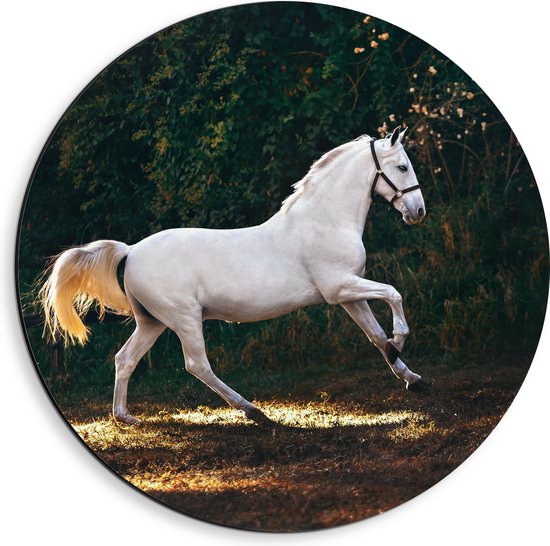 WallClassics - Dibond Muurcirkel - Wit Rennend Paard in het Bos - 40x40 cm Foto op Aluminium Muurcirkel (met ophangsysteem)