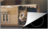 KitchenYeah® Inductie beschermer 77x51 cm - De kat verstopt zich graag. - Kookplaataccessoires - Afdekplaat voor kookplaat - Inductiebeschermer - Inductiemat - Inductieplaat mat