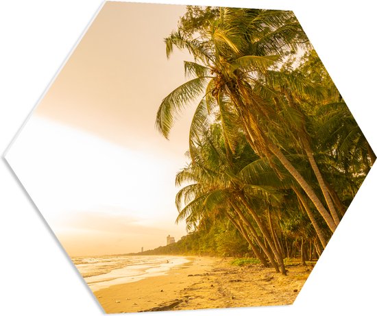 PVC Schuimplaat Hexagon - Kokosnoot Palmbomen aan het Strand tijdens Felle Zonsopkomst - 70x60.9 cm Foto op Hexagon (Met Ophangsysteem)
