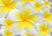 Fotobehang - Vlies Behang - Geel en Witte Bloemen - 104 x 70,5 cm