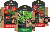 Brievenbus cadeau Baza Hangtuintje Tomaat, Rode Peper en Basilicum / duurzaam/Bio/gerecycled