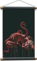 Textielposter - Groepje Flamingo's met Zwarte Achtergrond - 40x60 cm Foto op Textiel