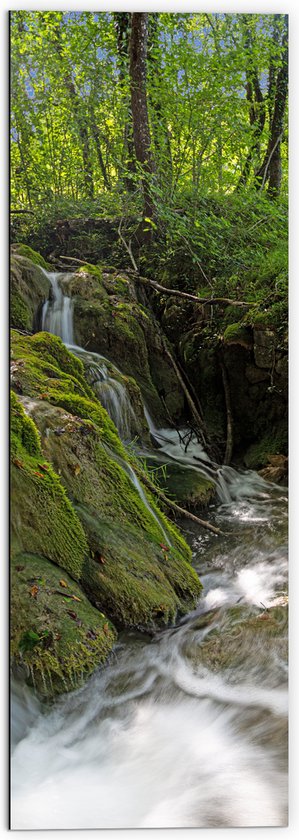 Dibond - Kleine Watervallen Stromend in Riviertje in het Bos - 50x150 cm Foto op Aluminium (Met Ophangsysteem)