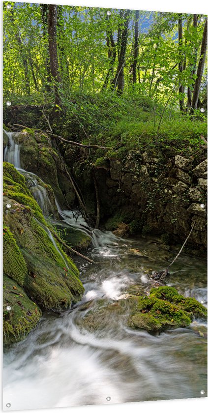 Tuinposter – Kleine Watervallen Stromend in Riviertje in het Bos - 100x200 cm Foto op Tuinposter (wanddecoratie voor buiten en binnen)