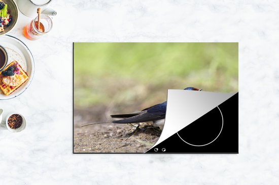 KitchenYeah® Inductie beschermer 77x51 cm - Een boerenzwaluw zittend op de grond - Kookplaataccessoires - Afdekplaat voor kookplaat - Inductiebeschermer - Inductiemat - Inductieplaat mat