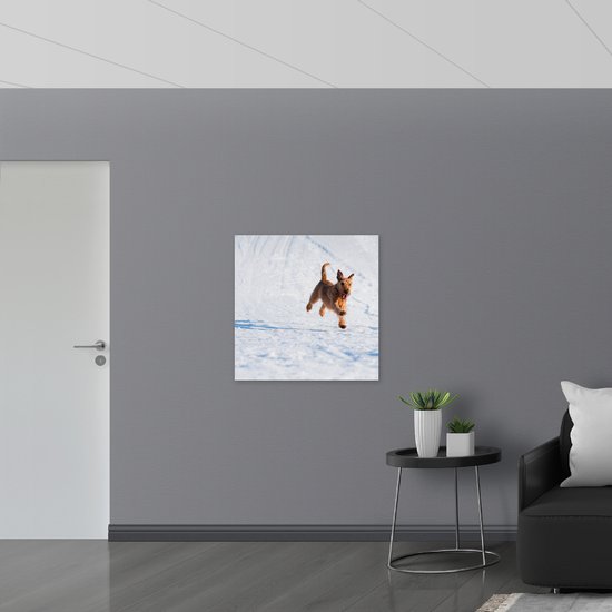 WallClassics - Bois - Chien Marron Courant dans la Neige - 80x80 cm - 9 mm d'épaisseur - Photo sur Bois (Avec Système d'accrochage)