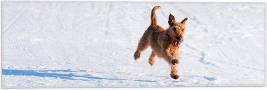 WallClassics - Vlag - Bruine Hond rennend in de Sneeuw - 60x20 cm Foto op Polyester Vlag