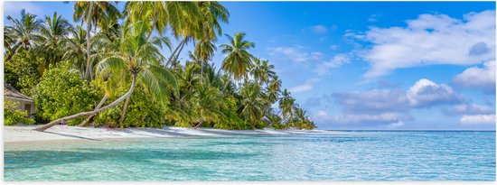 Poster Glanzend – Tropisch Strand met Palmbomen - 90x30 cm Foto op Posterpapier met Glanzende Afwerking